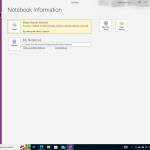 Microsoft Office Professional Plus 2021