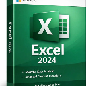 Microsoft Excel 2024