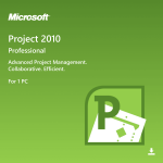 Microsoft Project Professional 2010