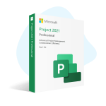Microsoft Project Professional 2021