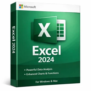 Microsoft Excel 2024