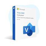 Microsoft Visio Professional 2021