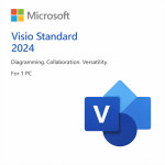 Microsoft Visio Standard 2024