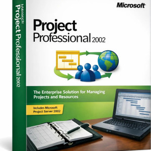 Microsoft Project Professional 2002