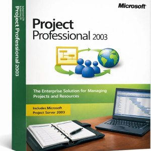 Microsoft Project Professional 2003