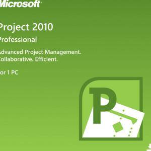 Microsoft Project Professional 2010