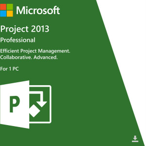 Microsoft Project Professional 2013