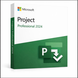 Microsoft Project Professional 2024