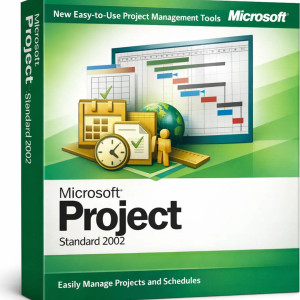 Microsoft Project Standard 2002