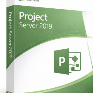 Microsoft Project Standard 2019