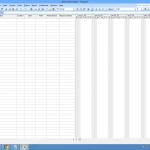 Microsoft Project Professional 2007