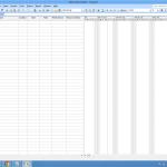 Microsoft Project Professional 2007