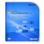 Microsoft Visio Professional 2003
