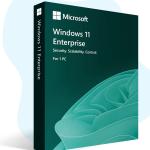 Windows 11 Enterprise