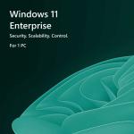 Windows 11 Enterprise
