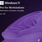 Windows 11 Pro for Workstations