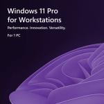 Windows 11 Pro for Workstations