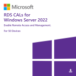 Windows Server 2022 Device CAL