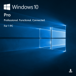 Windows 10 Pro