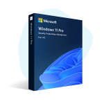 Windows 11 Pro