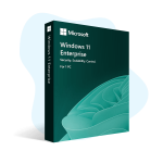 Windows 11 Enterprise