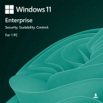 Windows 11 Enterprise