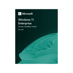 Windows 11 Enterprise