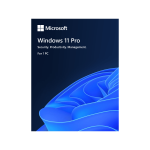 Windows 11 Pro