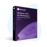 Windows 11 Pro for Workstations