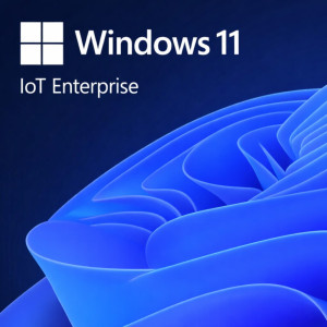 Windows 11 IoT Enterprise