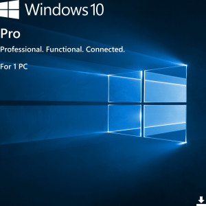Windows 10 Pro
