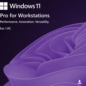Windows 11 Pro for Workstations