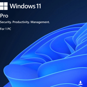 Windows 11 Pro
